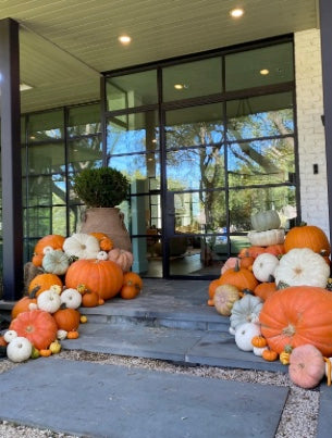 The Harvest Statement - Package #1