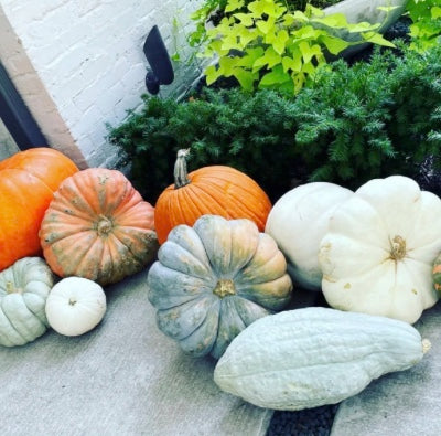 Custom Gourds Package