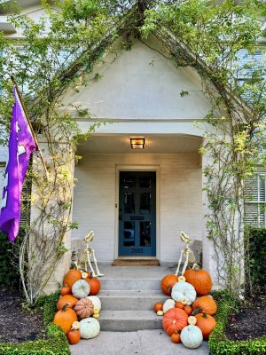 The Autumn Starter - Package #4