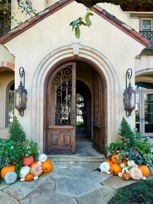 The Autumn Starter - Package #4