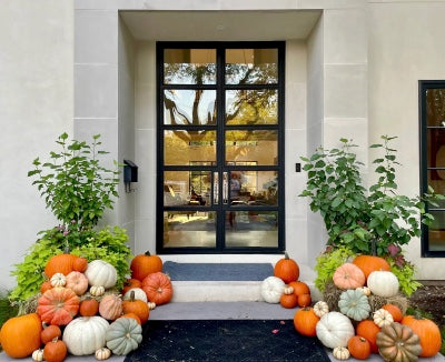 The Seasonal Classic - Package #3