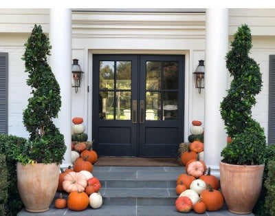 The Seasonal Classic - Package #3