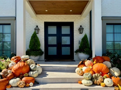 The Harvest Statement - Package #1