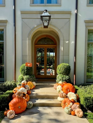 The Harvest Statement - Package #1